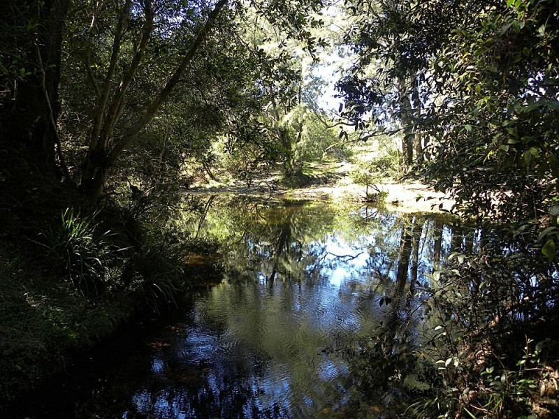 Lot 2 Black Flat Road, Currowan NSW 2536