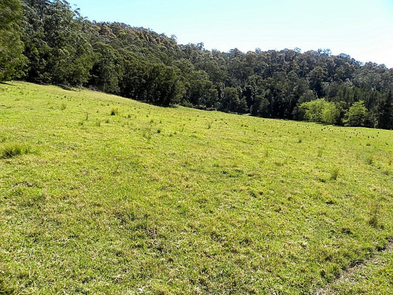 Lot 2 Black Flat Road, Currowan NSW 2536