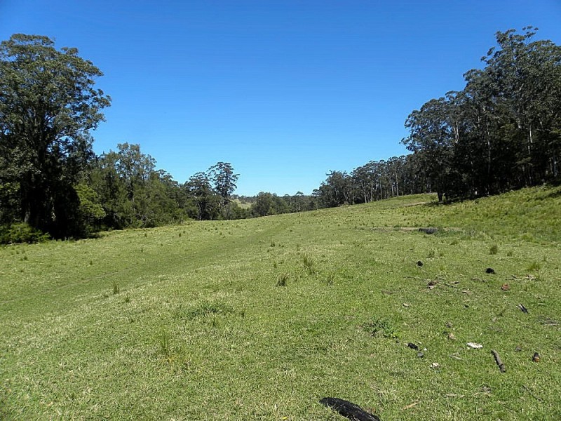 Lot 2 Black Flat Road, Currowan NSW 2536