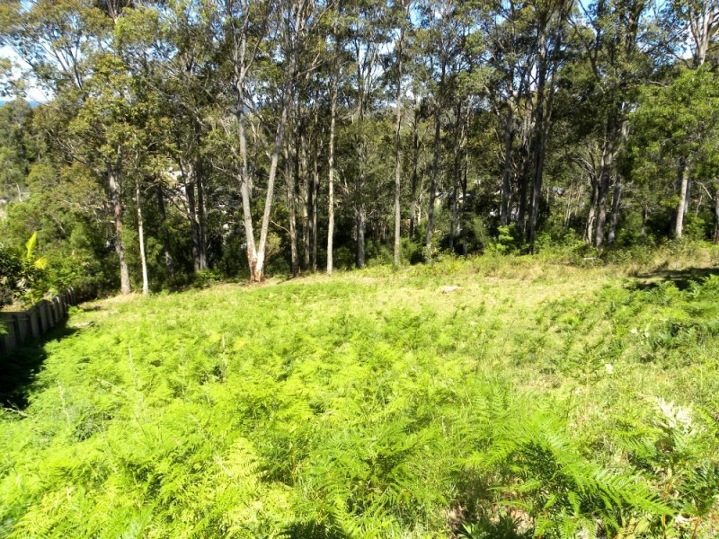 89 Vista Avenue, Catalina NSW 2536