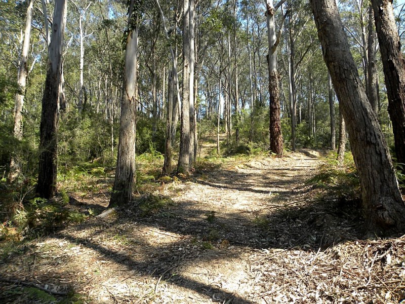 100 The River Road, Nelligen NSW 2536