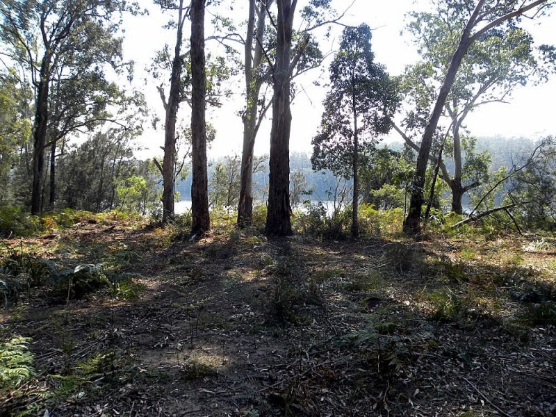 100 The River Road, Nelligen NSW 2536