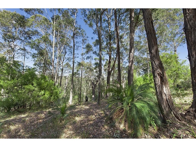 14 Burri Palm Way, Surfside NSW 2536