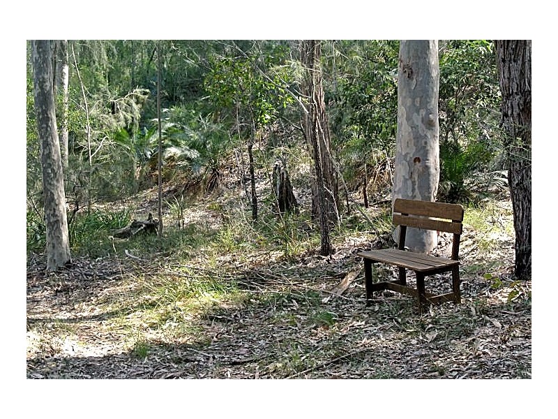 14 Burri Palm Way, Surfside NSW 2536