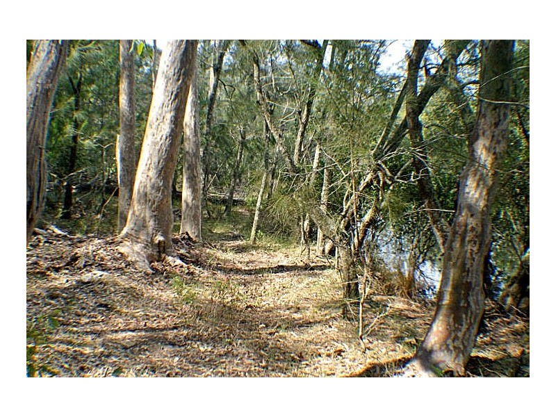 14 Burri Palm Way, Surfside NSW 2536