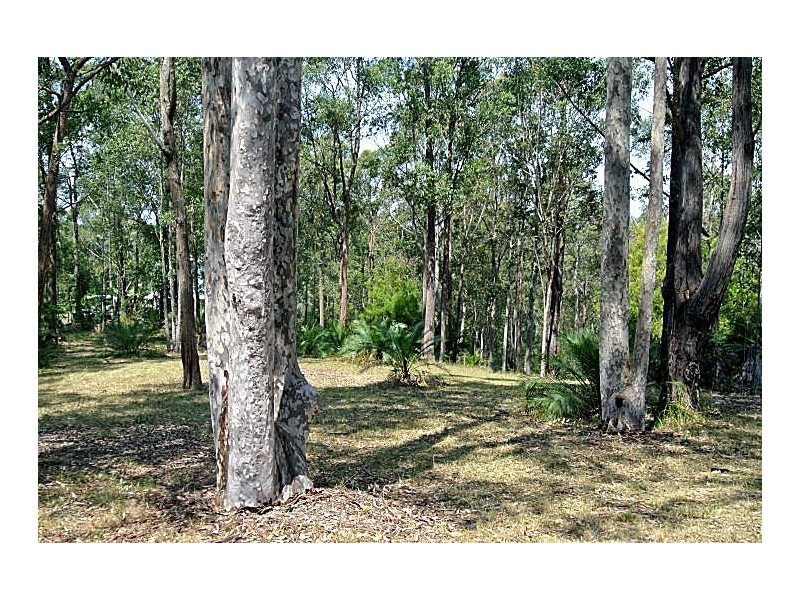 14 Burri Palm Way, Surfside NSW 2536