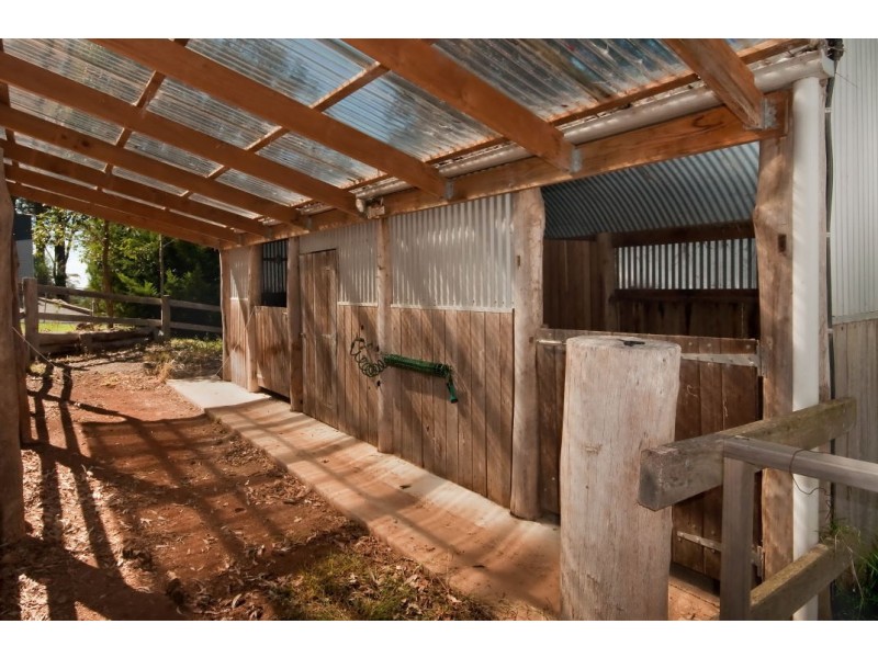 21 Highlands Avenue, Surf Beach NSW 2536