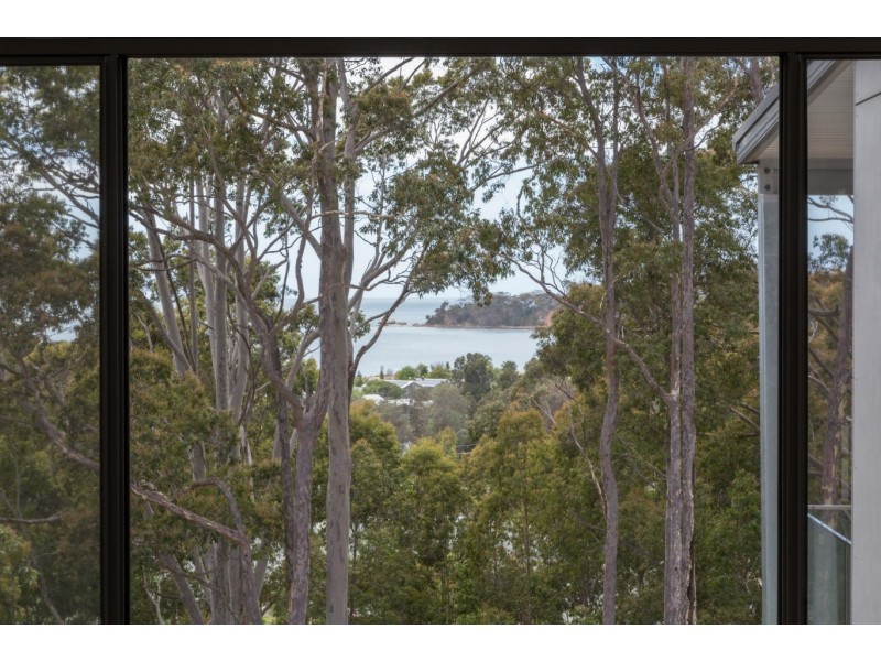 20 Sanctuary Place, Catalina NSW 2536