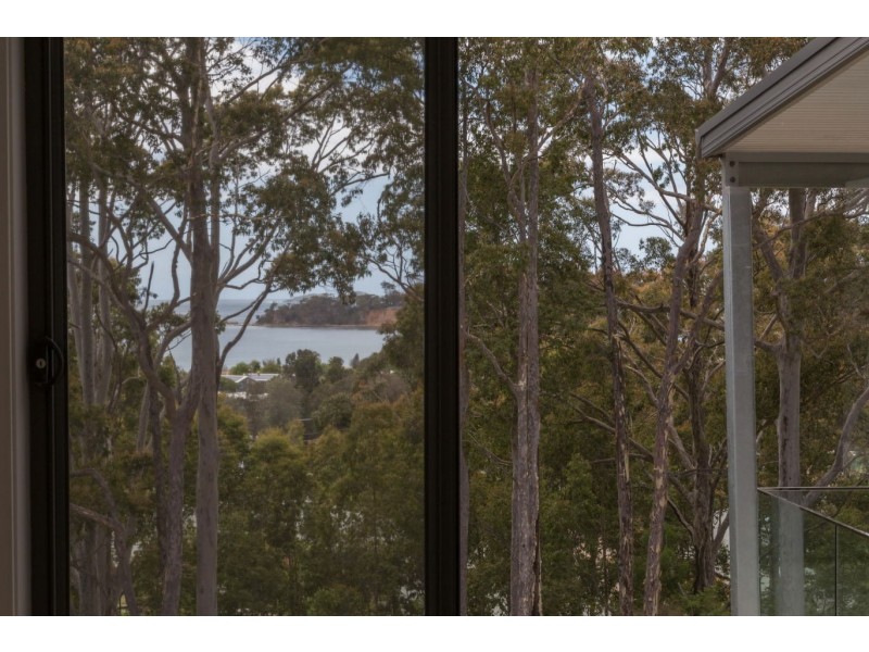 20 Sanctuary Place, Catalina NSW 2536