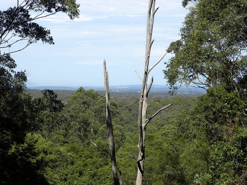 Lot 1/ 520 Dunns Creek Road, Malua Bay NSW 2536