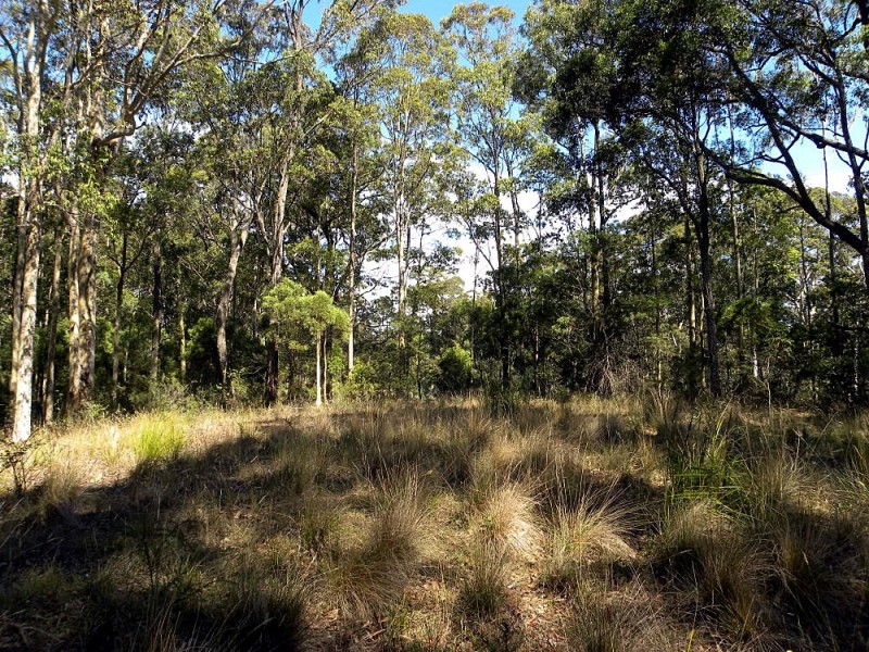 Lot 1/ 520 Dunns Creek Road, Malua Bay NSW 2536