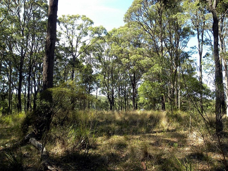 Lot 1/ 520 Dunns Creek Road, Malua Bay NSW 2536