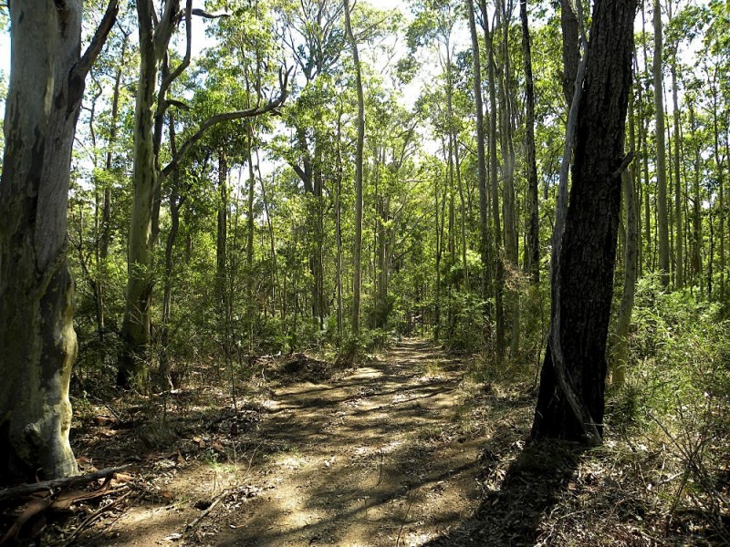 Lot 1/ 520 Dunns Creek Road, Malua Bay NSW 2536