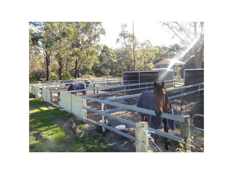 3/110 Donnelly Drive, Moruya NSW 2537