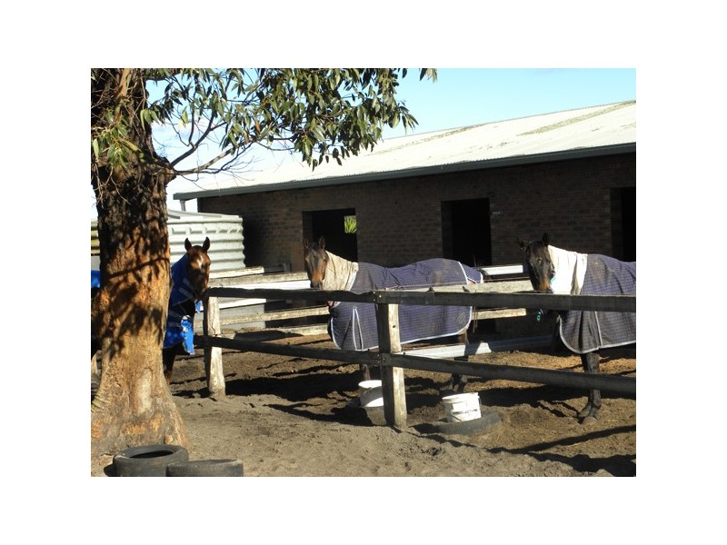 3/110 Donnelly Drive, Moruya NSW 2537