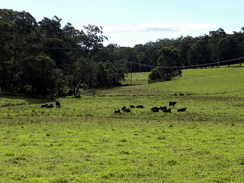 19 Durras Road, Batemans Bay NSW 2536