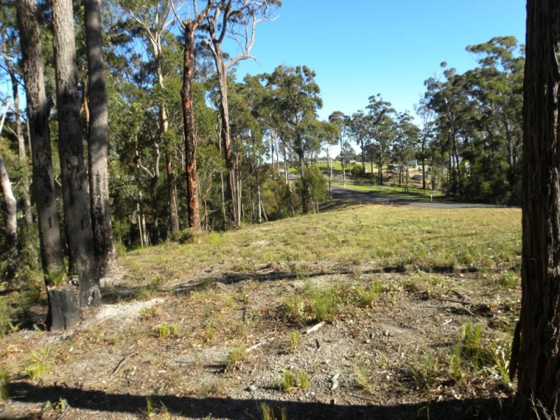 110 (Lot 29) Kettle Road, Long Beach NSW 2536