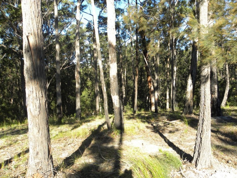 110 (Lot 29) Kettle Road, Long Beach NSW 2536