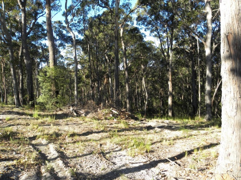 110 (Lot 29) Kettle Road, Long Beach NSW 2536