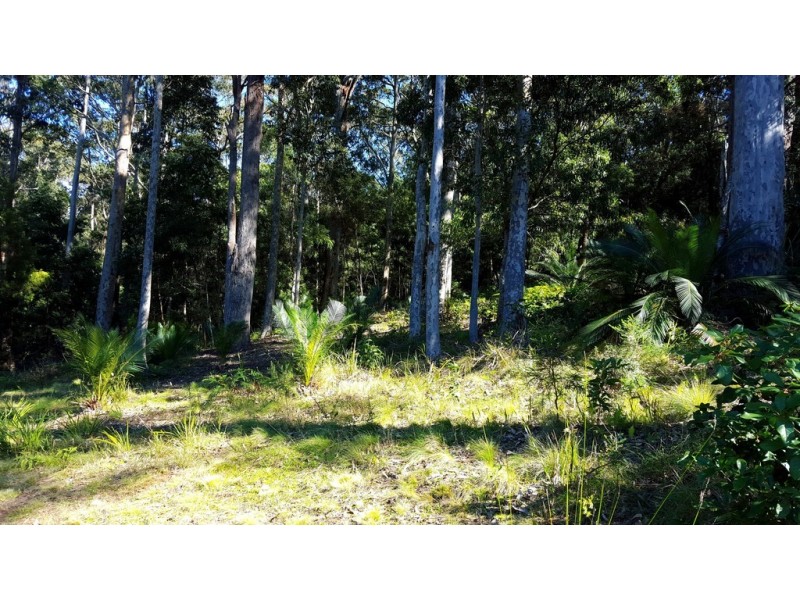 26 Oakwood Way, Catalina NSW 2536