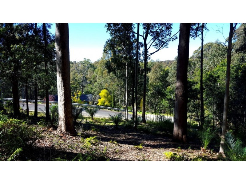 26 Oakwood Way, Catalina NSW 2536