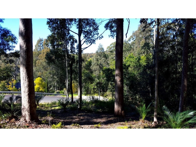 26 Oakwood Way, Catalina NSW 2536