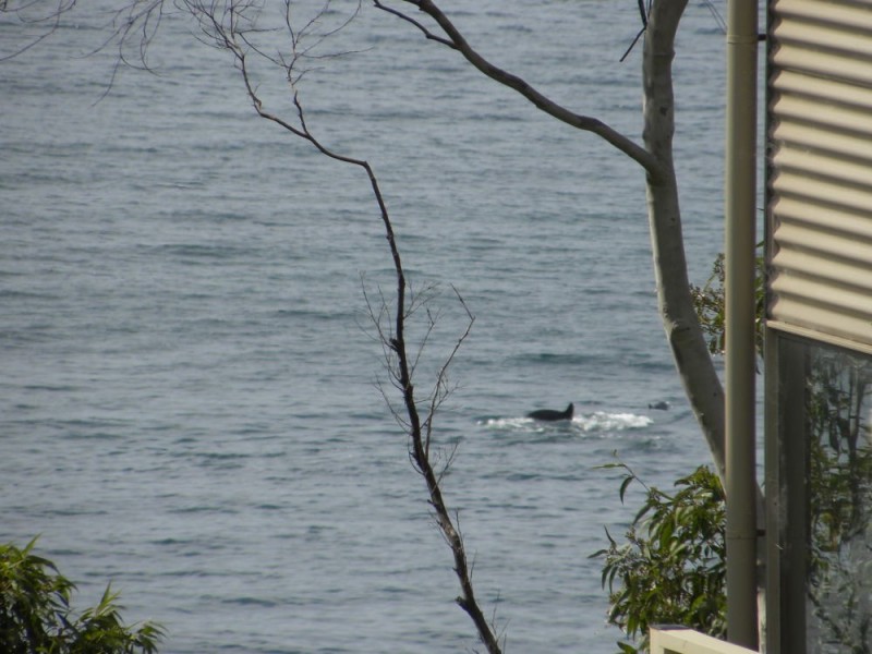 508 Beach Road, Denhams Beach NSW 2536