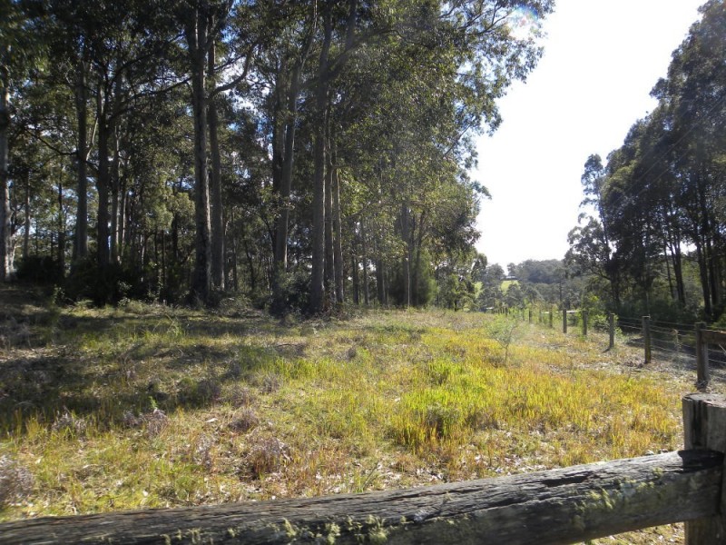 5 Tarlo Close, Long Beach NSW 2536