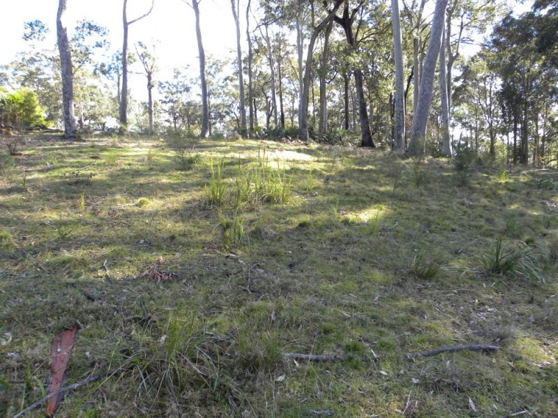 5 Tarlo Close, Long Beach NSW 2536