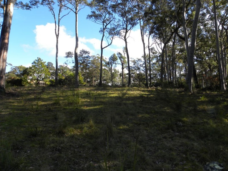 5 Tarlo Close, Long Beach NSW 2536