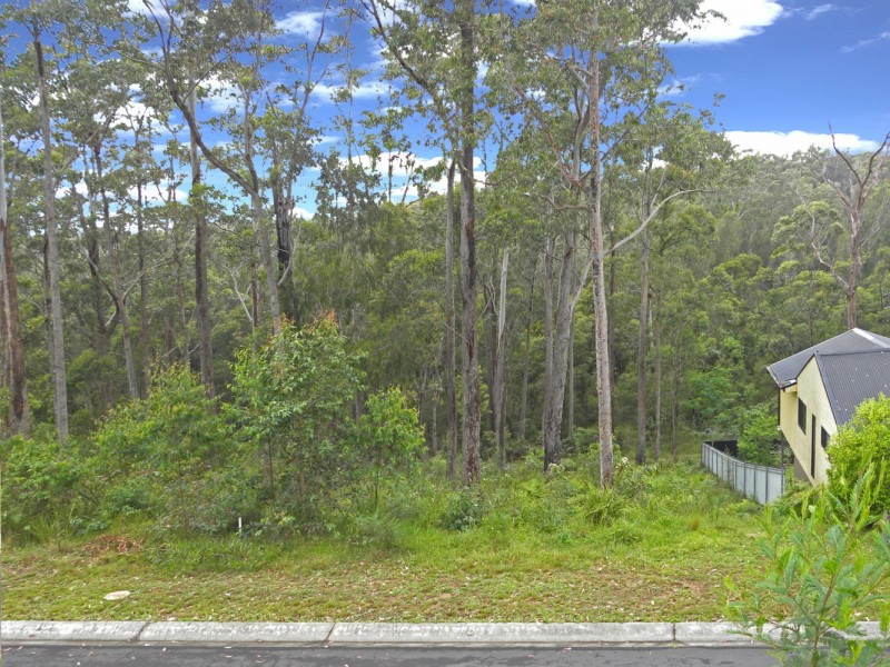 29 Oakwood Way, Catalina NSW 2536