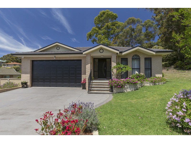 11 Protea Place, Catalina NSW 2536