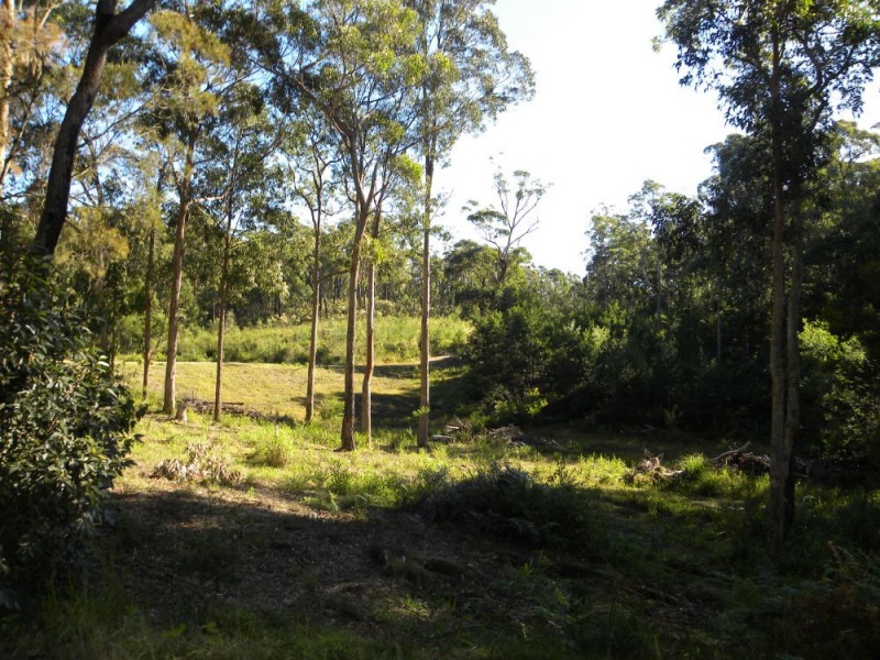 Lot 68 Princes Highway, Mogo NSW 2536