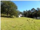 Lot 68 Princes Highway, Mogo NSW 2536