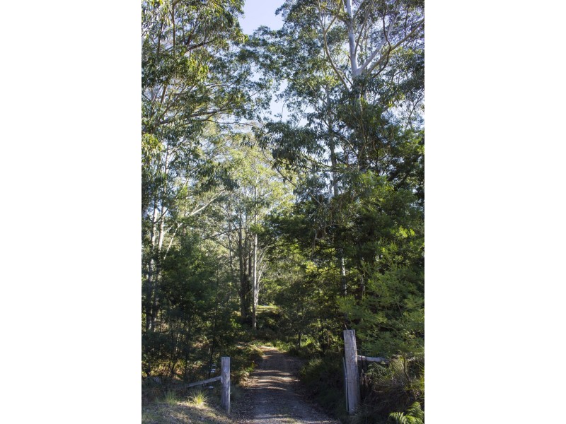 144 Durras Drive, South Durras NSW 2536