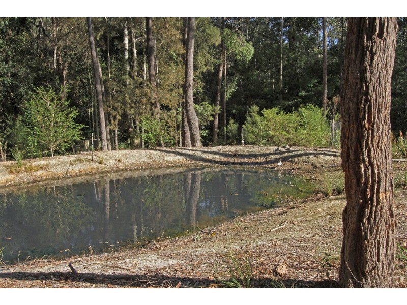 36 Tree Fern Place, Long Beach NSW 2536