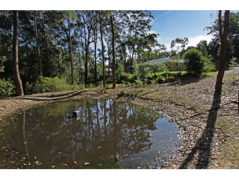 36 Tree Fern Place, Long Beach NSW 2536