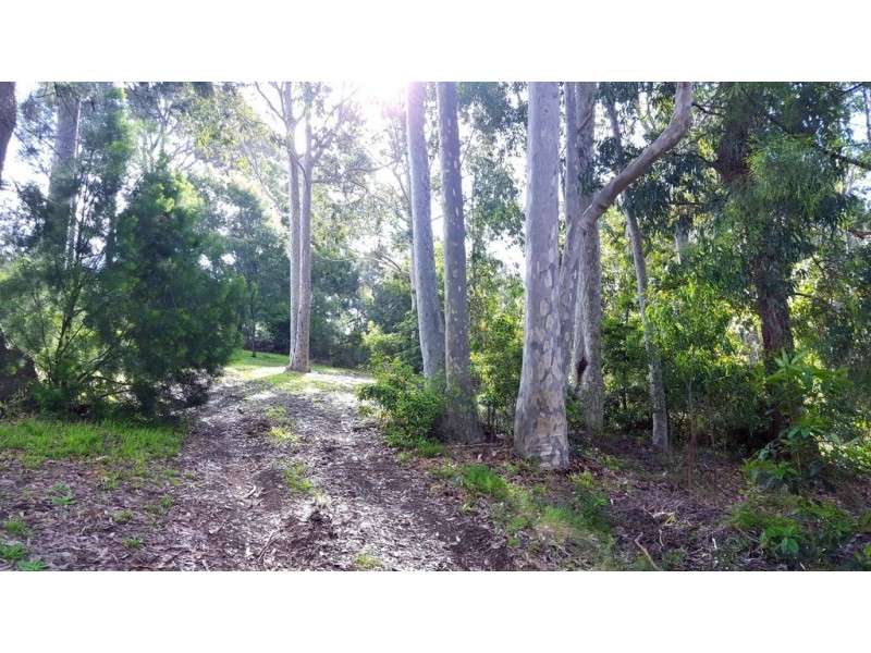 72 Catalina Drive, Catalina NSW 2536