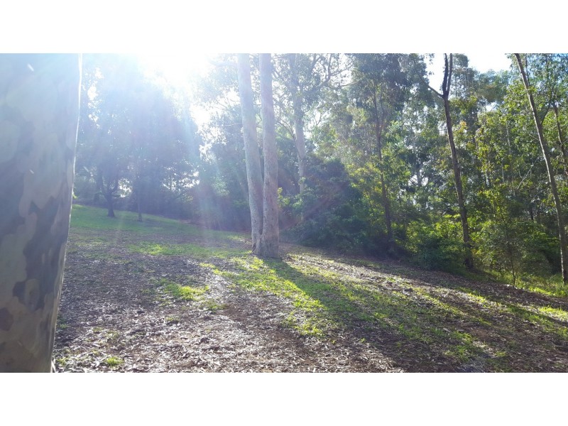 72 Catalina Drive, Catalina NSW 2536