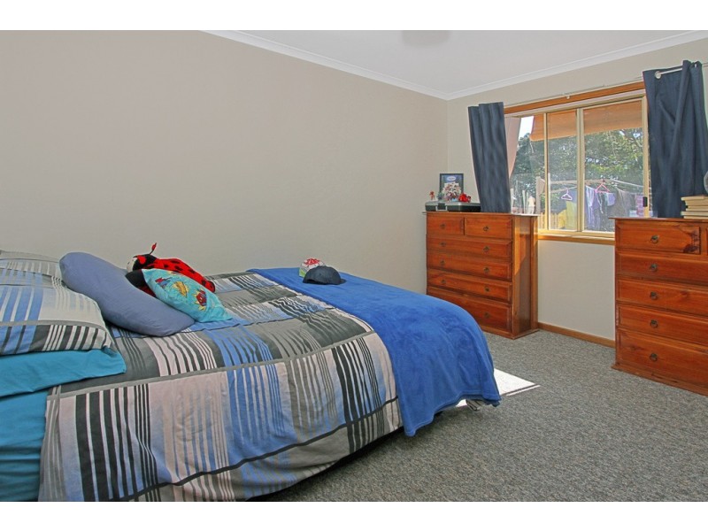 6 Gannet Place, Catalina NSW 2536