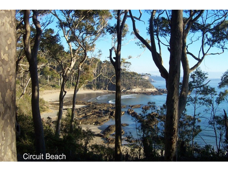 10 Lilli Pilli Road, Batemans Bay NSW 2536