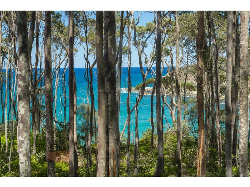 48 Lilli Pilli Road, Lilli Pilli NSW 2536