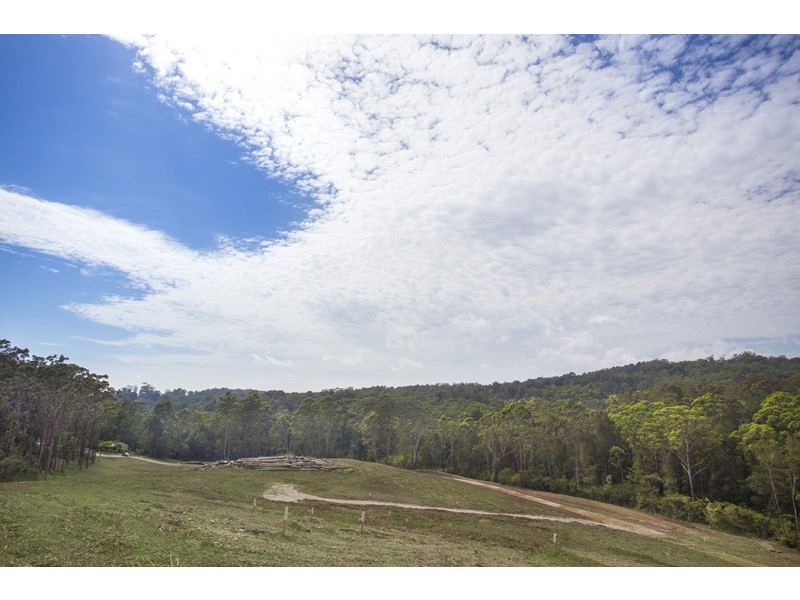 Forest View Estate, Catalina NSW 2536