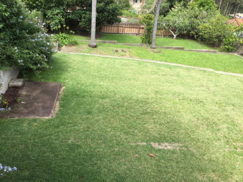 27 Calga Crescent, Catalina NSW 2536