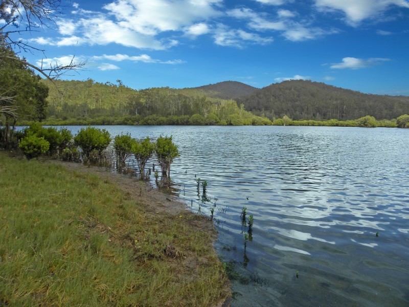 Lot 46 Runnyford Road, Nelligen NSW 2536