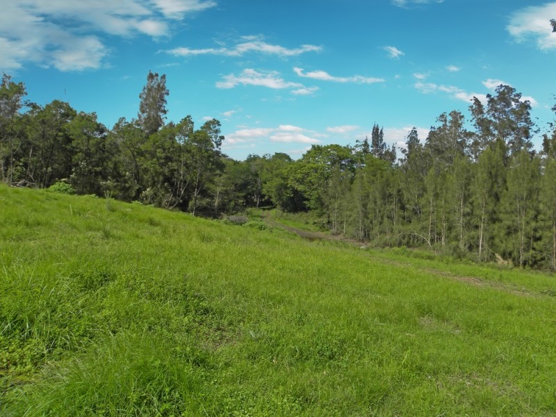Lot 46 Runnyford Road, Nelligen NSW 2536