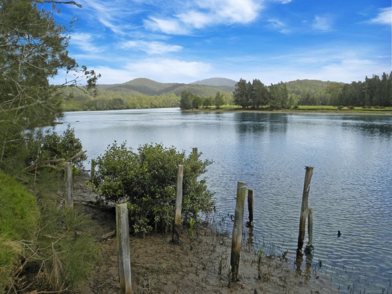 Lot 46 Runnyford Road, Nelligen NSW 2536