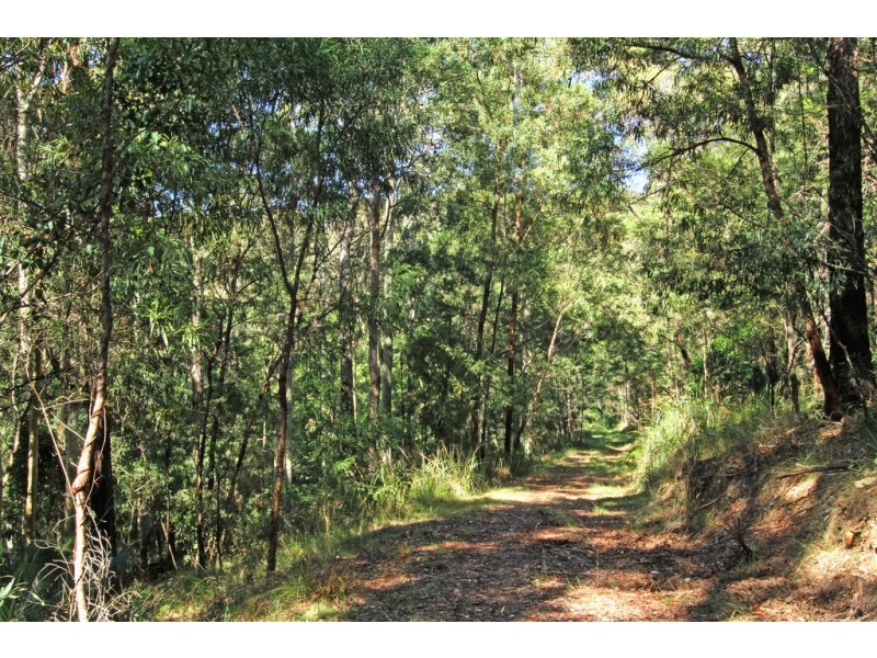 Lot 4 Tallgums Way, Surf Beach NSW 2536