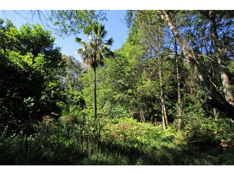 Lot 4 Tallgums Way, Surf Beach NSW 2536