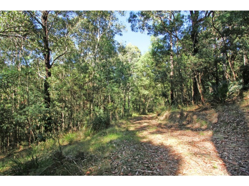 Lot 4 Tallgums Way, Surf Beach NSW 2536